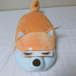 임스님이 올린 리뷰 사진 1