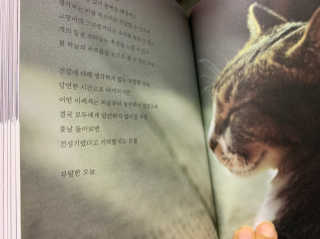 김영주님이 올린 리뷰 사진 2