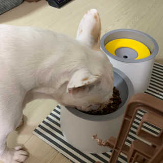 [펫토리아] 토로토로 하치  강아지 파우치간식 — 4점을 준 리뷰어가 2019년 6월 올린 사용 사진