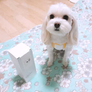 꼬미님이 올린 리뷰 사진 2