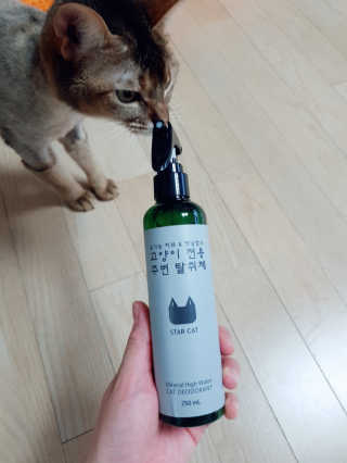 해롱님이 올린 리뷰 사진 2