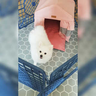 심쿵해에님이 올린 리뷰 사진 1