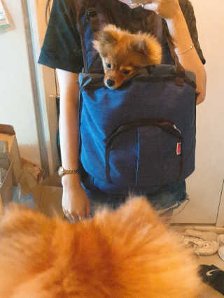 은선이짱님이 올린 리뷰 사진 2