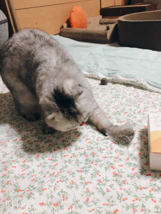 토모님이 올린 리뷰 사진 3