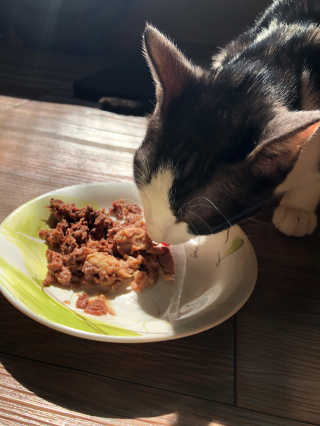 콩별님이 올린 리뷰 사진 1
