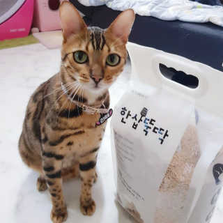 [펫토리아]한삽뚝딱 프리미엄 고양이 두부모래 — 5점을 준 리뷰어가 2019년 8월 올린 사용 사진