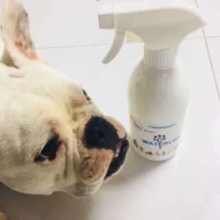 지아이님이 올린 리뷰 사진 1