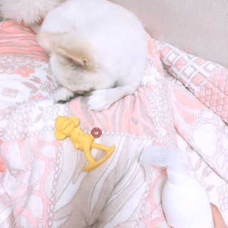 표예진님이 올린 리뷰 사진 1
