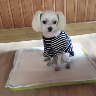 쌔쌔님이 올린 리뷰 사진 3