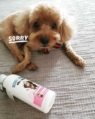 narae님이 올린 리뷰 사진 1