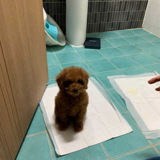 KellyChoi님이 올린 리뷰 사진 1