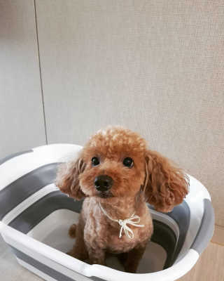 헌터님이 올린 리뷰 사진 3