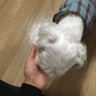 신다님이 올린 리뷰 사진 4