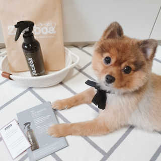 은선이짱님이 올린 리뷰 사진 2