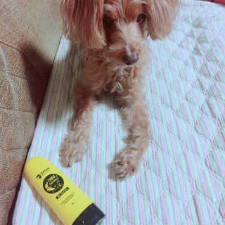 임희승님이 올린 리뷰 사진 2