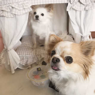 쏭블리님이 올린 리뷰 사진 1