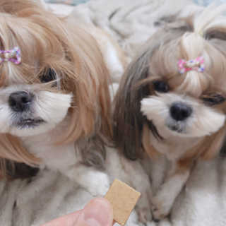 민준맘님이 올린 리뷰 사진 3