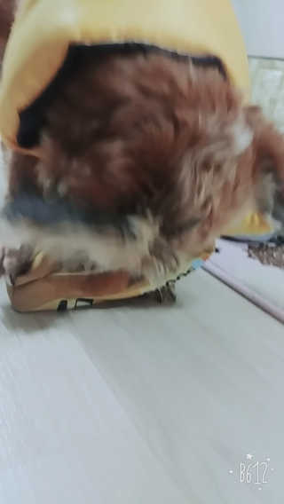 조태현님이 올린 리뷰 사진 4