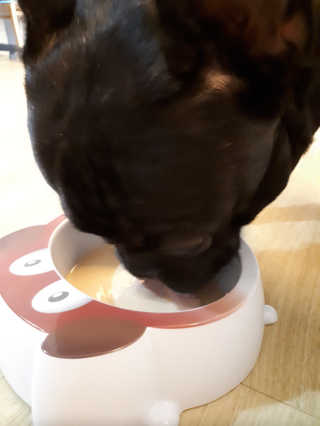 토르맘님이 올린 리뷰 사진 3