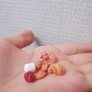 몽실몽실님이 올린 리뷰 사진 2