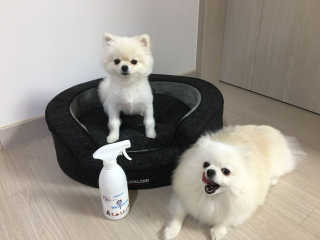 최수지님이 올린 리뷰 사진 2