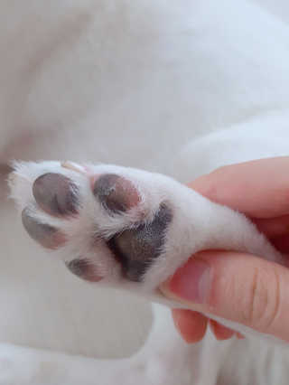 GaeulJu님이 올린 리뷰 사진 4