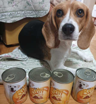 beaglelove님이 올린 리뷰 사진 1