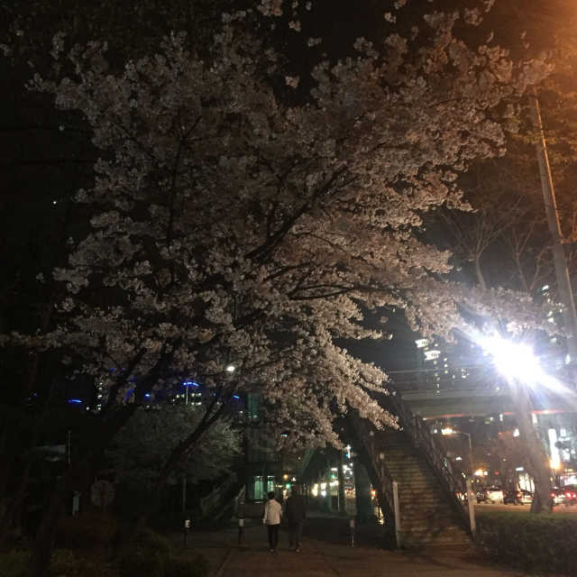 샬랑드파리 리뷰 사진