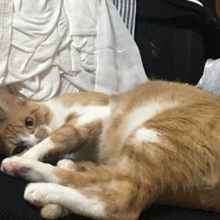 조이님이 올린 리뷰 사진 1