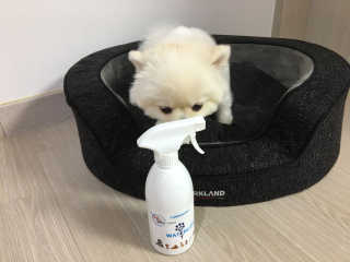 최수지님이 올린 리뷰 사진 4