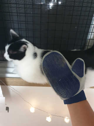 한라봉님이 올린 리뷰 사진 1