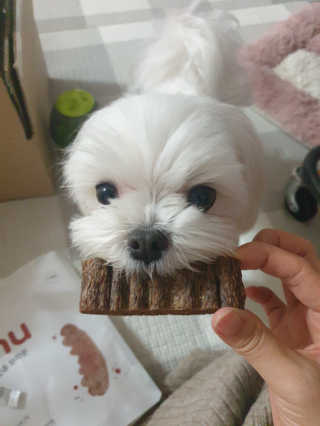 꼬물이님이 올린 리뷰 사진 2