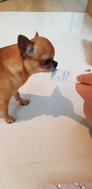 삼공주네님이 올린 리뷰 사진 3