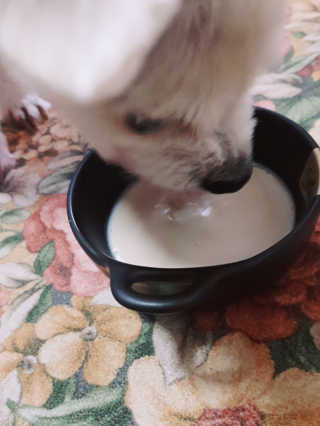 moomoon님이 올린 리뷰 사진 2