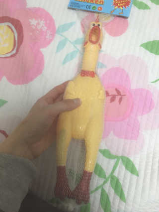 백선영님이 올린 리뷰 사진 1