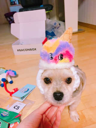 쮸동비님이 올린 리뷰 사진 1