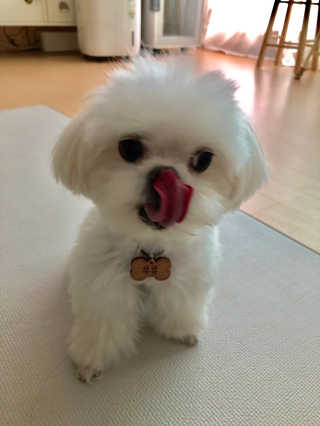 율리킴님이 올린 리뷰 사진 2