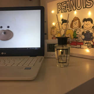 더블유드레스룸 퍼퓸 디퓨저 70ml — 5점을 준 리뷰어가 2018년 6월 올린 사용 사진