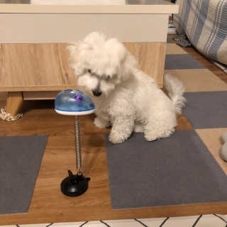 young님이 올린 리뷰 사진 3