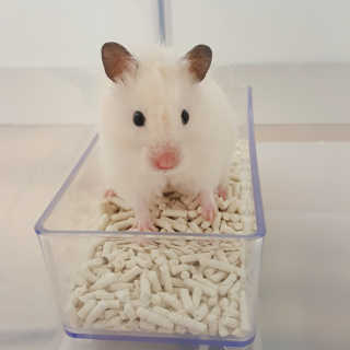 미오님이 올린 리뷰 사진 3