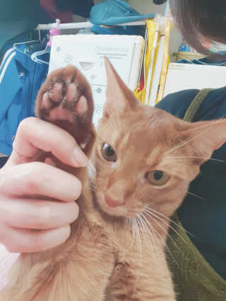 뚜이니님이 올린 리뷰 사진 4