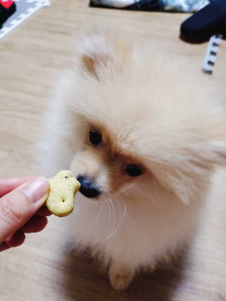 으콩님이 올린 리뷰 사진 3
