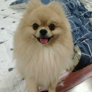 지수님이 올린 리뷰 사진 2
