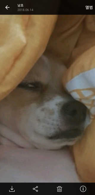 남초롱님이 올린 리뷰 사진 2