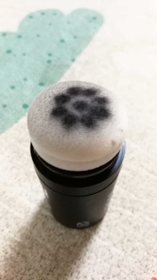 다슈 안티 헤어로스 헤어쿠션 16g 리뷰 사진