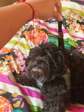 Emogurloveskincare님이 올린 리뷰 사진 2