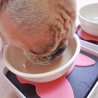 핸지님이 올린 리뷰 사진 2