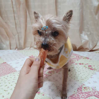솜희님이 올린 리뷰 사진 3