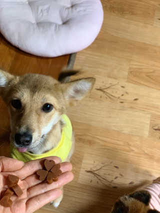 세일러튜리님이 올린 리뷰 사진 3