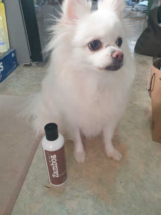 띵똥구님이 올린 리뷰 사진 2